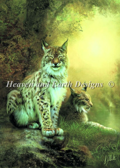 Two Lynxes - Click Image to Close